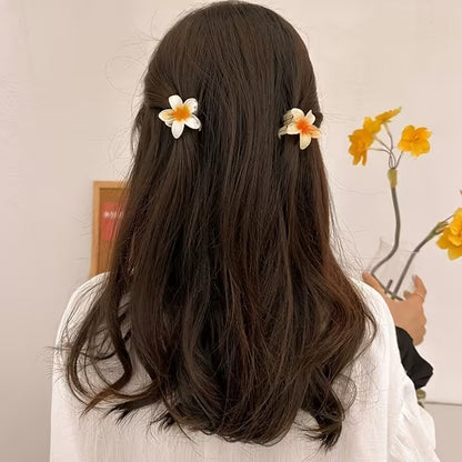Set de pinzas hawaianas